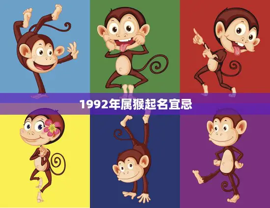 1992年属猴起名宜忌(如何为属猴宝宝取名)