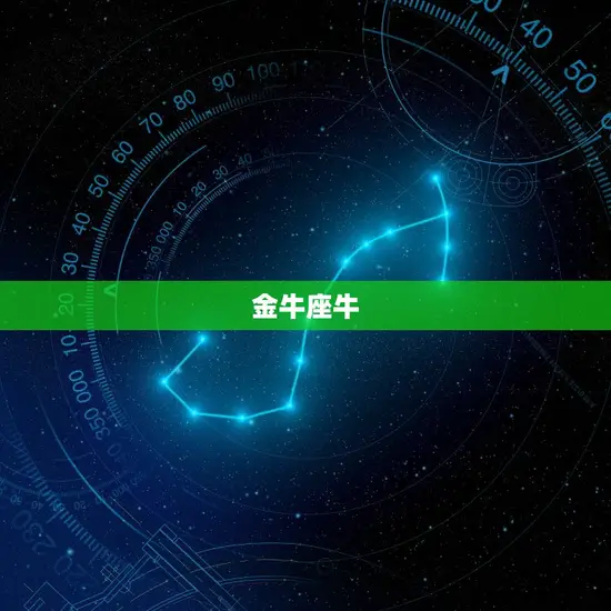 12星座对应十二生肖(星座与生肖的奇妙对应关系)