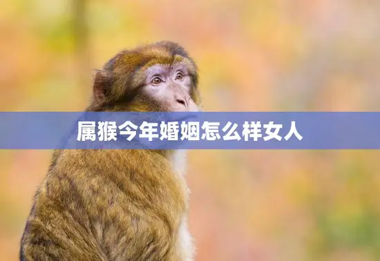 属猴今年婚姻怎么样女人(婚姻运势大揭秘)