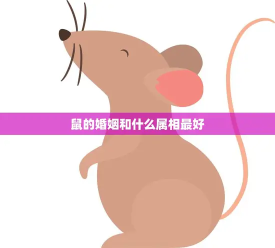 鼠的婚姻和什么属相最好(如何选择最佳配偶)