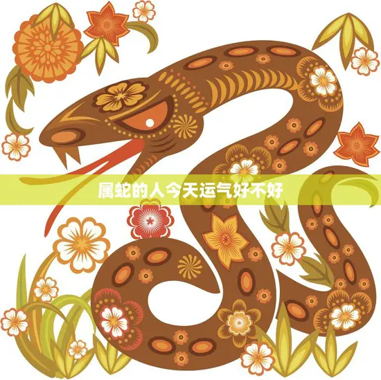 属蛇的人今天运气好不好(看运势把握机会)