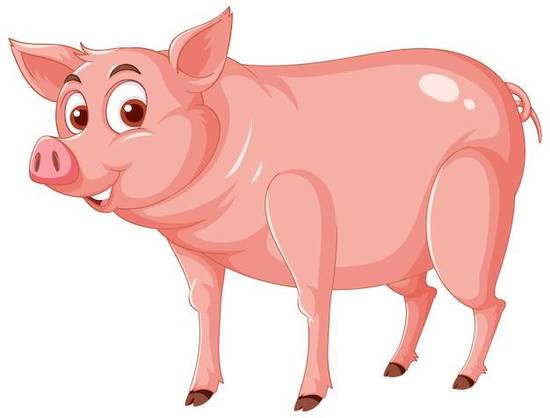 属猪和属猪的婚姻相配吗(探讨同属猪的恋人是否适合结婚)