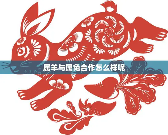 属羊与属兔合作怎么样呢(如何实现默契合作)