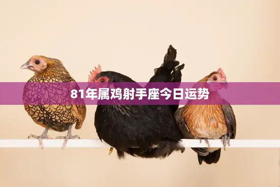 81年属鸡射手座今日运势(财运亨通事业顺利)