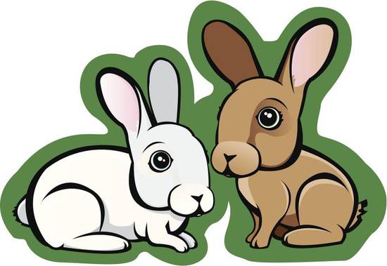 1999年兔女一生命运(命运多舛奋斗不止)