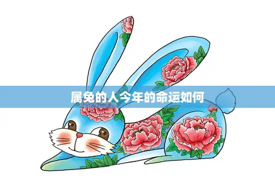 属兔的人今年的命运如何(2023年运势大揭秘)