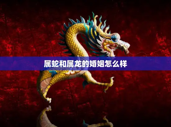 属蛇和属龙的婚姻怎么样(两者缘分天定)