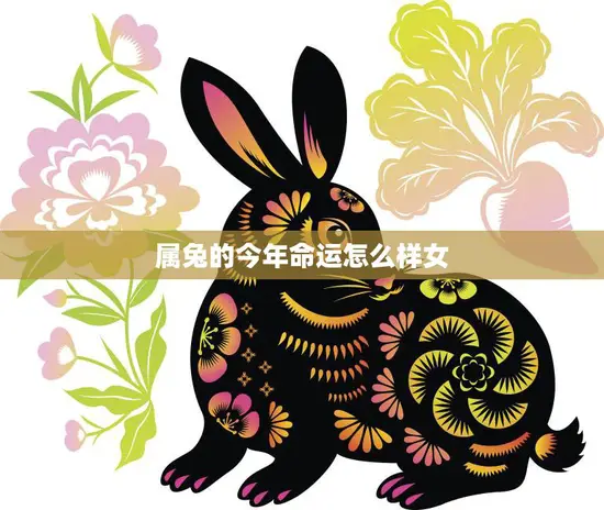 属兔的今年命运怎么样女(2023年运势大揭秘)