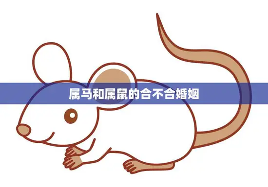 属马和属鼠的合不合婚姻(如何选择最佳配偶)