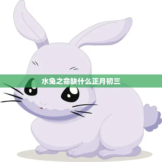 水兔之命缺什么正月初三(探寻命运短板)