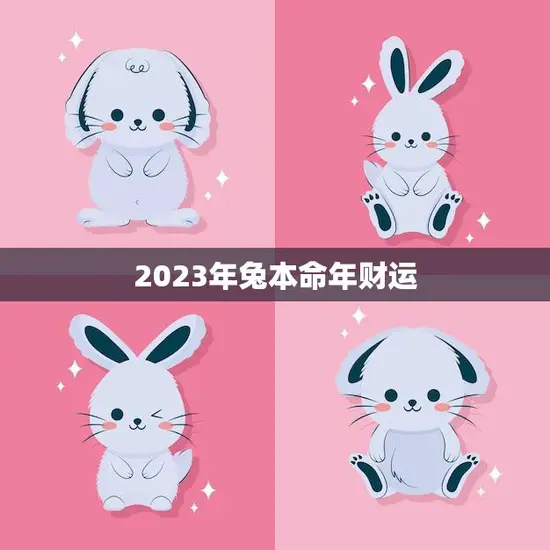2023年兔本命年财运(兔子们财源滚滚好运连连)