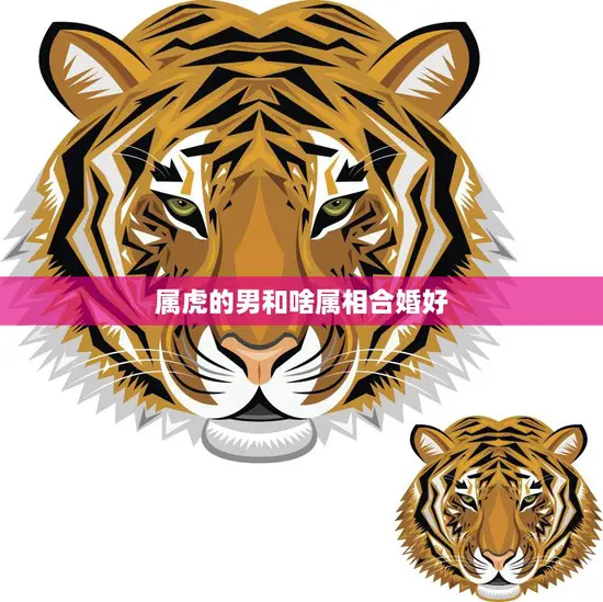属虎的男和啥属相合婚好(如何选择最佳婚姻对象)