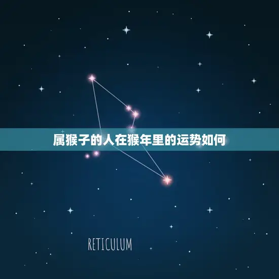 属猴子的人今年几岁了(猴年运势如何)