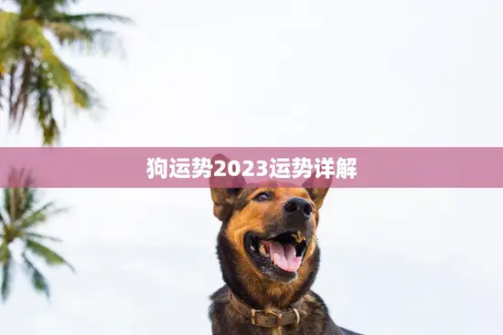 狗运势2023运势详解(狗年运势大揭秘)