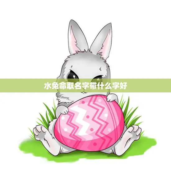 水兔命取名字带什么字好(如何为你的宝宝取一个好名字)