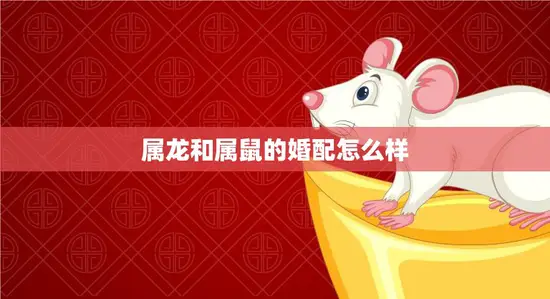 属龙和属鼠的婚配怎么样(如何避免克制和冲突)