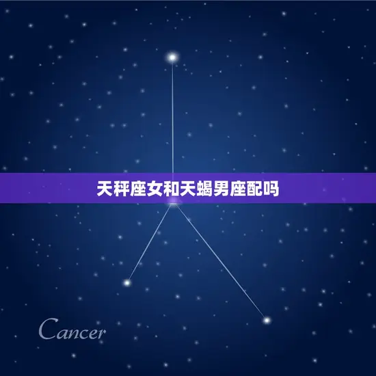 天秤座女和天蝎男座配吗(星座配对分析)