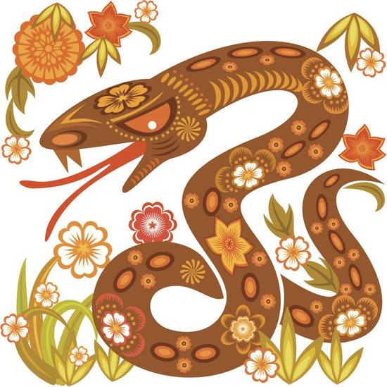 男属蛇不能和什么属相配(配对禁忌揭秘)