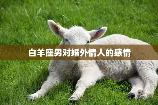 白羊座男对婚外情人的感情(如何处理)