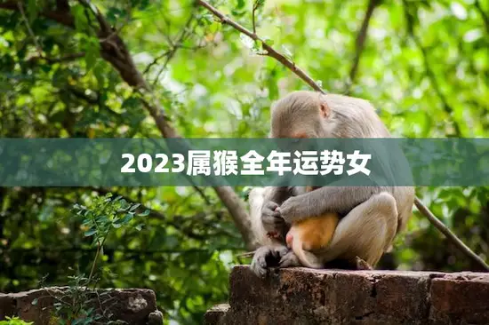2023属猴全年运势女(财运亨通爱情甜蜜事业上升)
