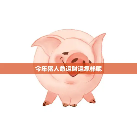 今年猪人命运财运怎样呢(解析2023年猪人运势)