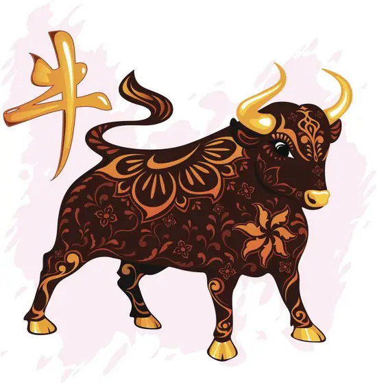 97属牛男和99属兔女(爱情路上的坎坷与成长)