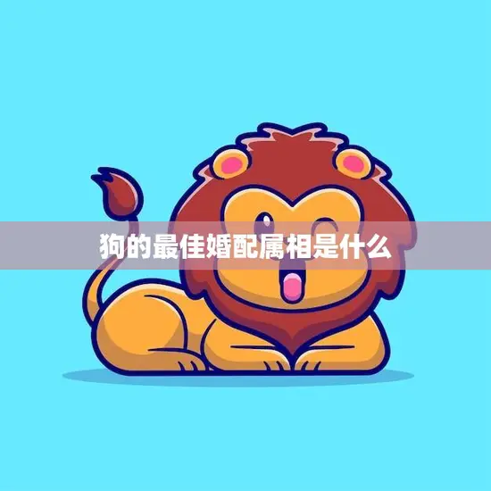 狗的最佳婚配属相是什么(寻找狗狗的完美伴侣)