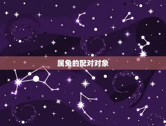 属兔十二生肖配对打分(如何找到配对)