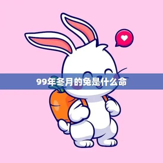 99年冬月的兔是什么命(解析兔年出生的人的性格特点和运势)