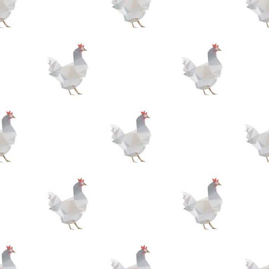 2023属鸡财运大揭秘(未来财富走势如何)