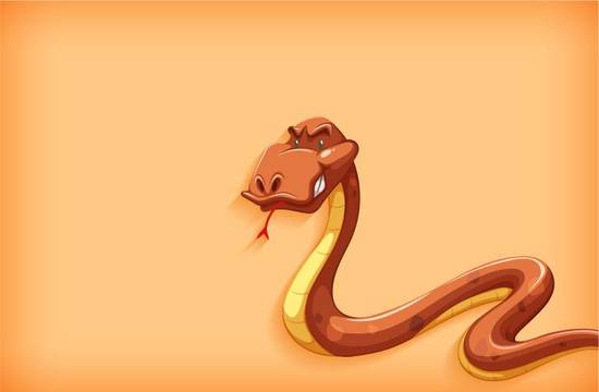 属蛇最般配的婚姻属相女(完美匹配哪些属相女最适合与蛇属男子结婚)