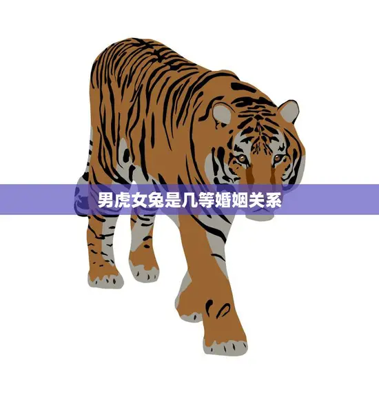 男虎女兔是几等婚姻关系(解析八字合婚大揭秘)