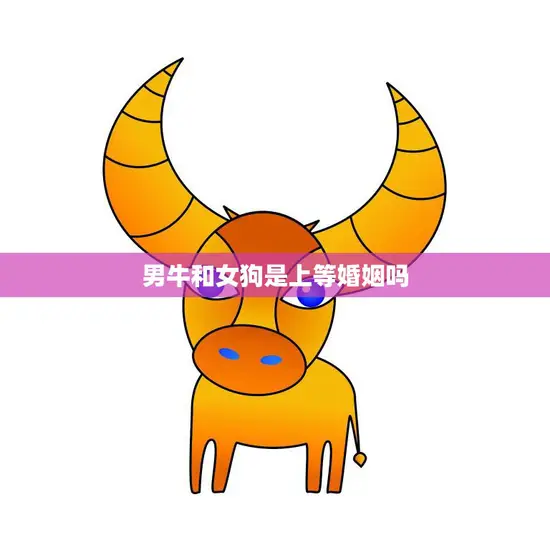 男牛和女狗是上等婚姻吗(探讨真正的婚姻幸福在哪里)