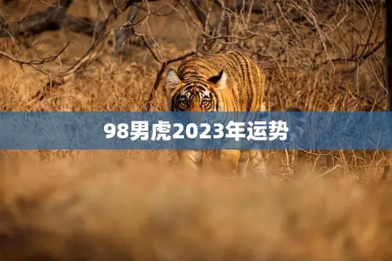 98男虎2023年运势(事业顺风顺水感情有波折)