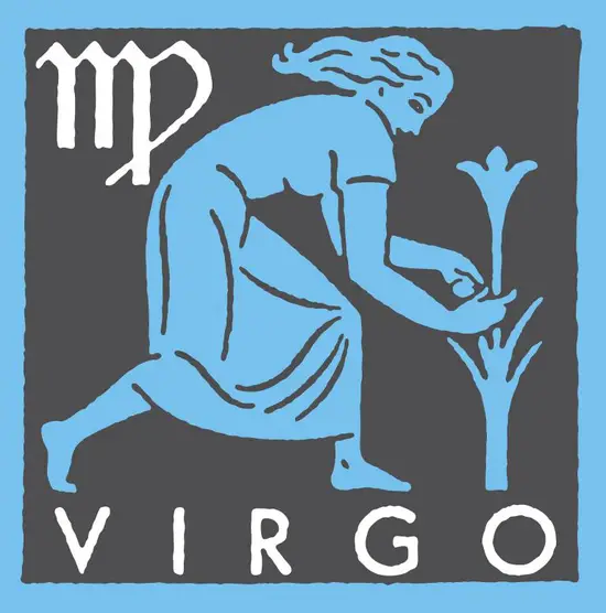 处女座掌管的星宫是第几宫(解密星宫排名揭秘)