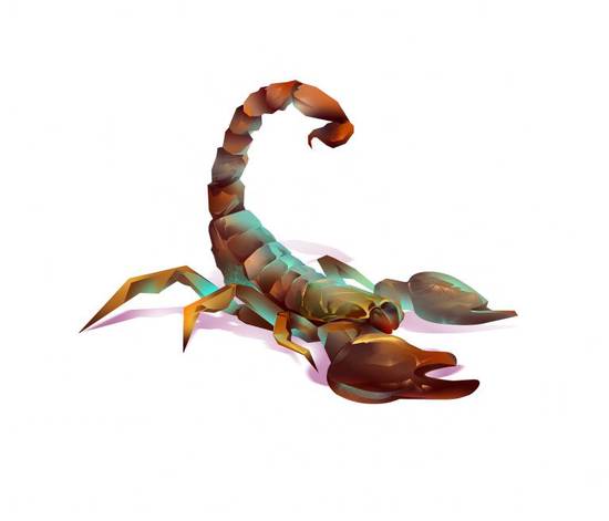 天蝎座男生今年爱情运势(浪漫之年爱情如虹)