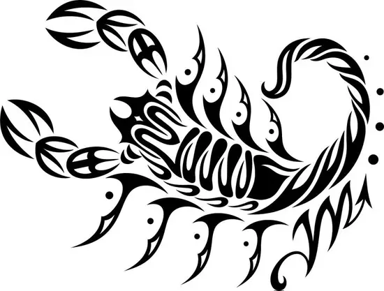 上帝给天蝎座的8个天赋(探秘天蝎座的独特魅力)