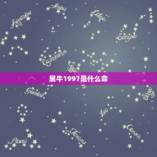 属牛1997是什么命(介绍命运如何)