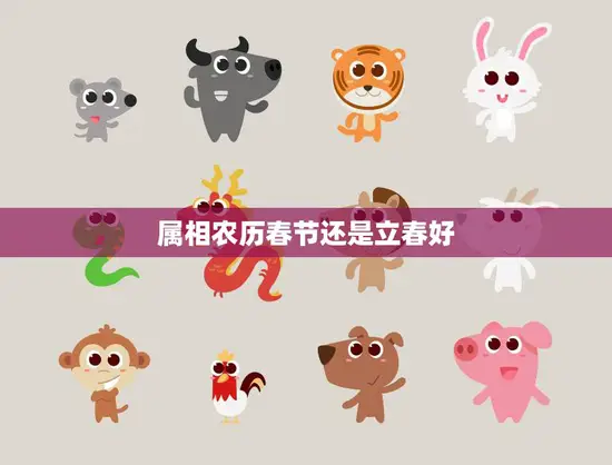 属相农历春节还是立春好(哪个更具传统意义)
