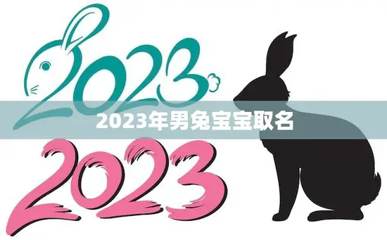 2023年男兔宝宝取名(如何选择最佳的兔宝宝名字)