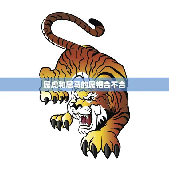 属虎和属马的属相合不合(你知道吗)