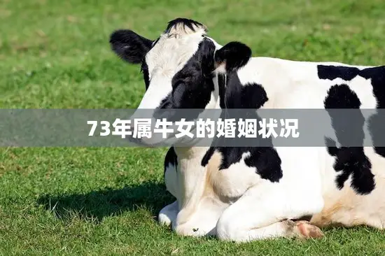 73年属牛女的婚姻状况(幸福还是坎坷不平)