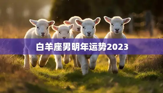 白羊座男明年运势2023(事业上升期感情稳定向前发展)