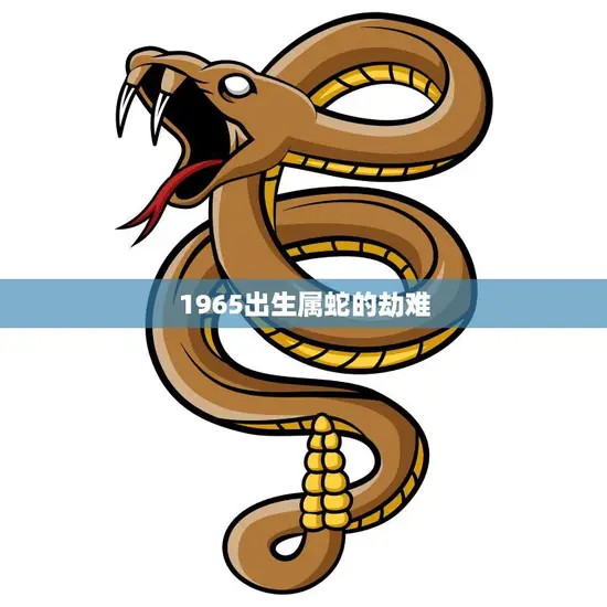 1965出生属蛇的劫难(生命中的挑战与成长)