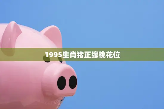 1995生肖猪正缘桃花位(揭秘如何激发桃花运)