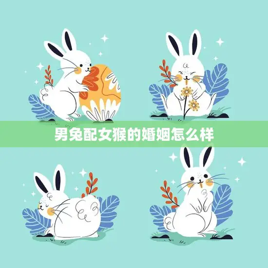 男兔配女猴的婚姻怎么样(幸福还是灾难)