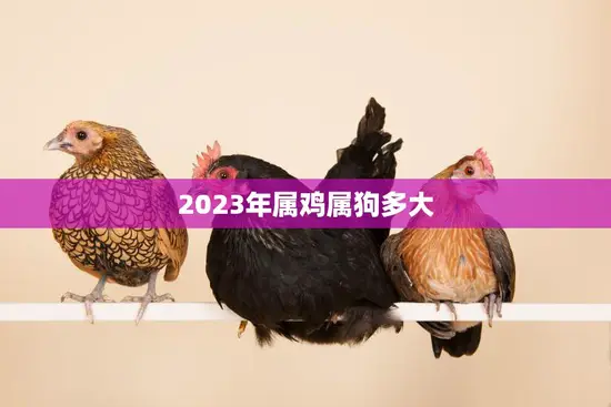 2023年属鸡属狗多大(年龄计算方法解析)