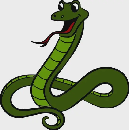 生肖蛇打麻将方位