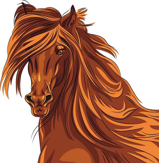 90年属马劫在什么时候(马年出生的你何时迎来劫数)