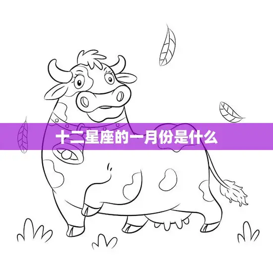 十二星座的一月份是什么(星座运势一览表)